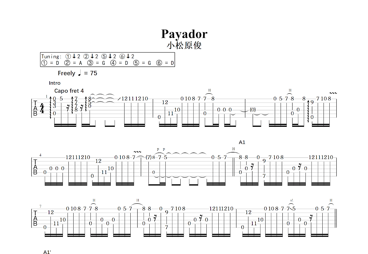 Payador吉他谱预览图