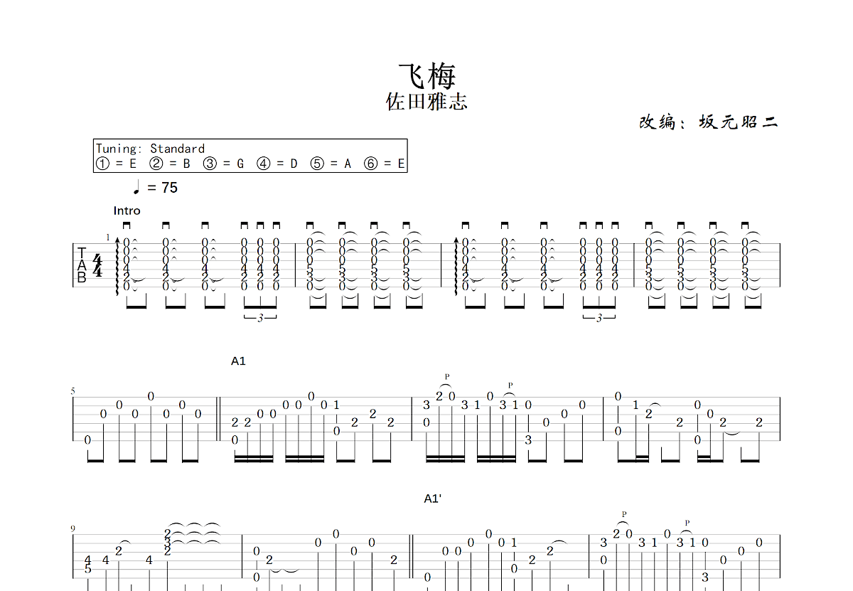 飞梅吉他谱预览图