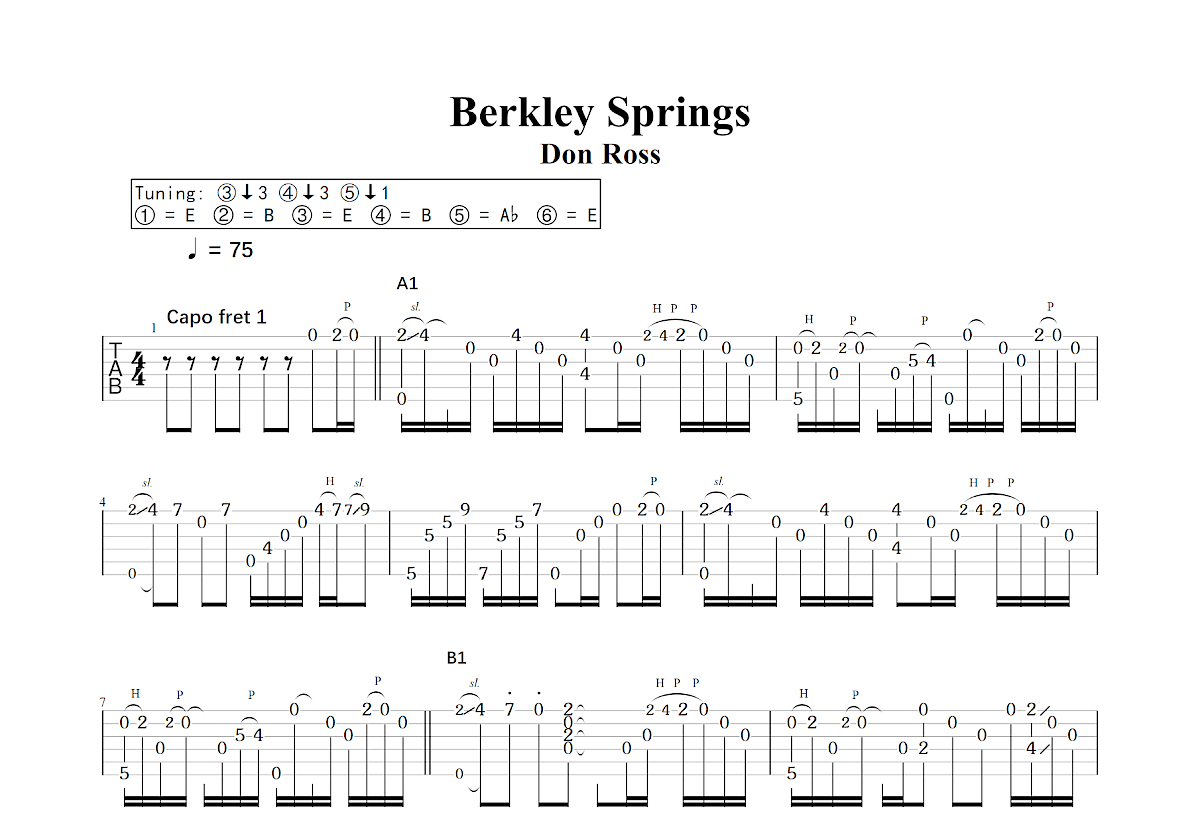 Berkley Springs吉他谱_Don Ross_C调指弹