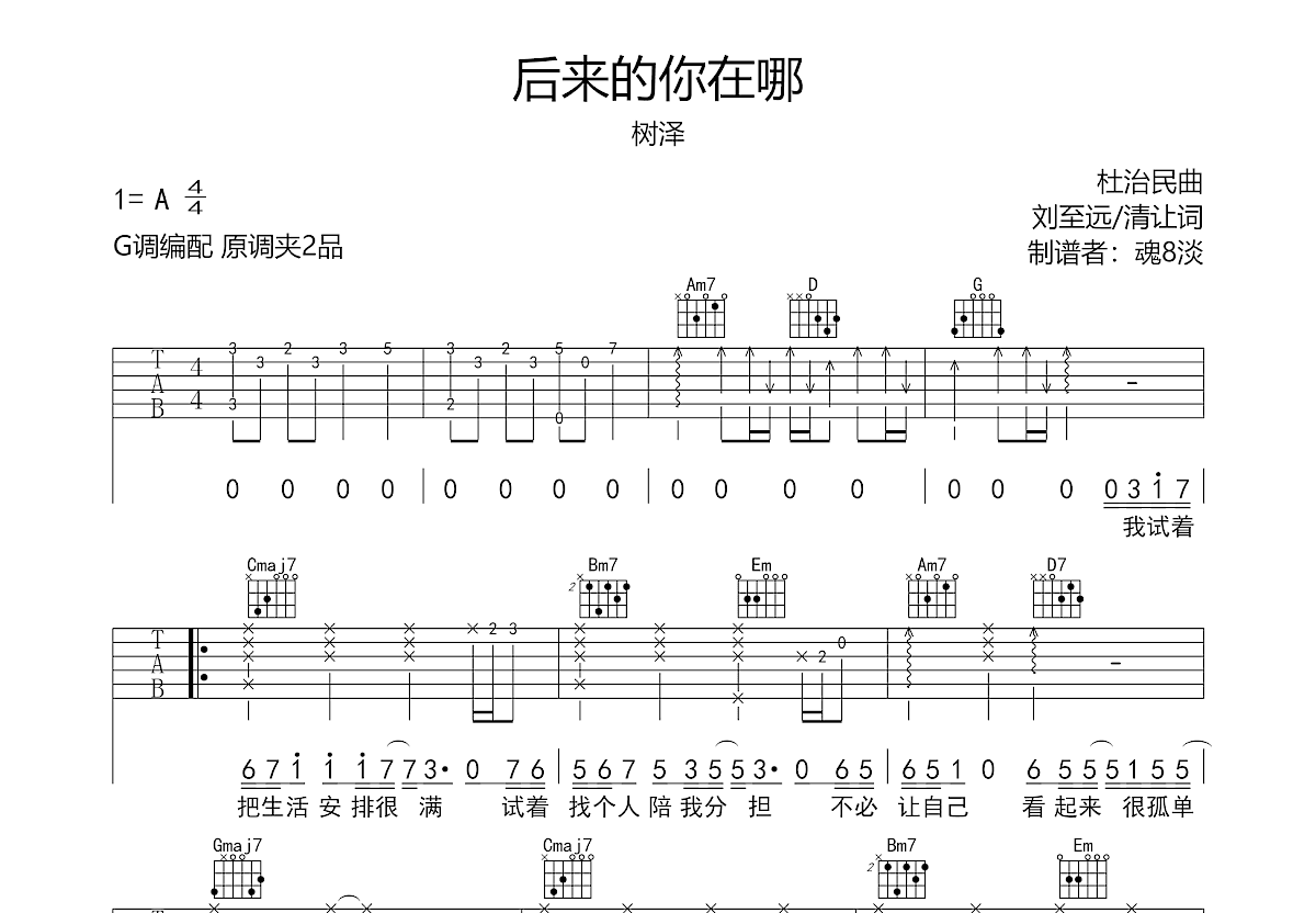 后来的你在哪吉他谱预览图