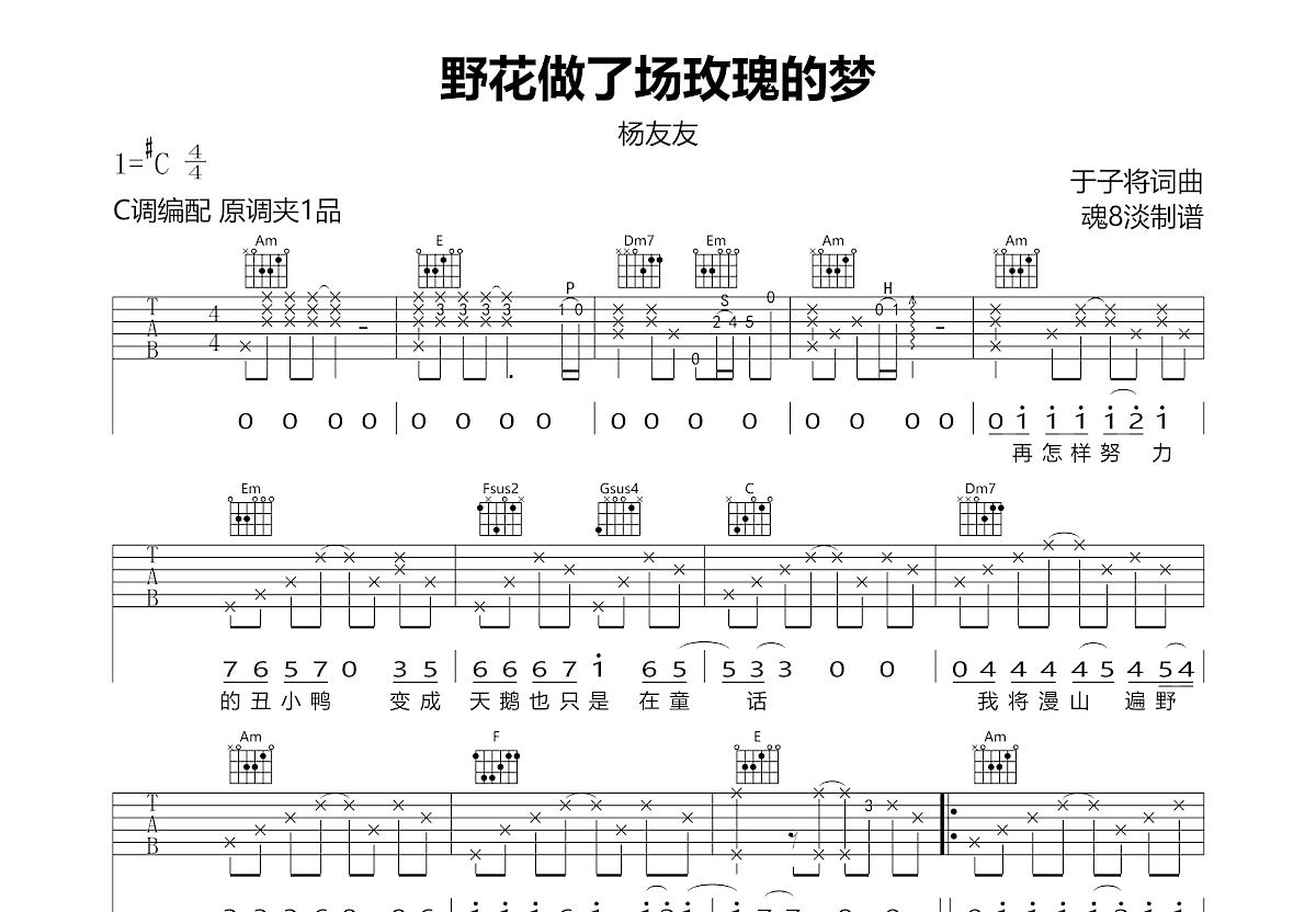 野花做了场玫瑰花的梦吉他谱预览图