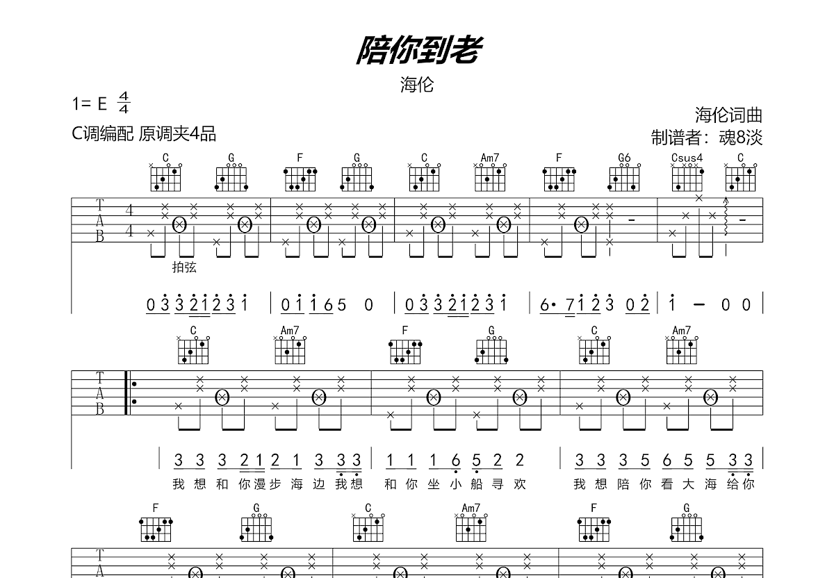 陪你到老吉他谱预览图