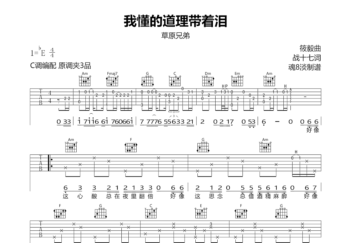 我懂的道理带着泪吉他谱预览图