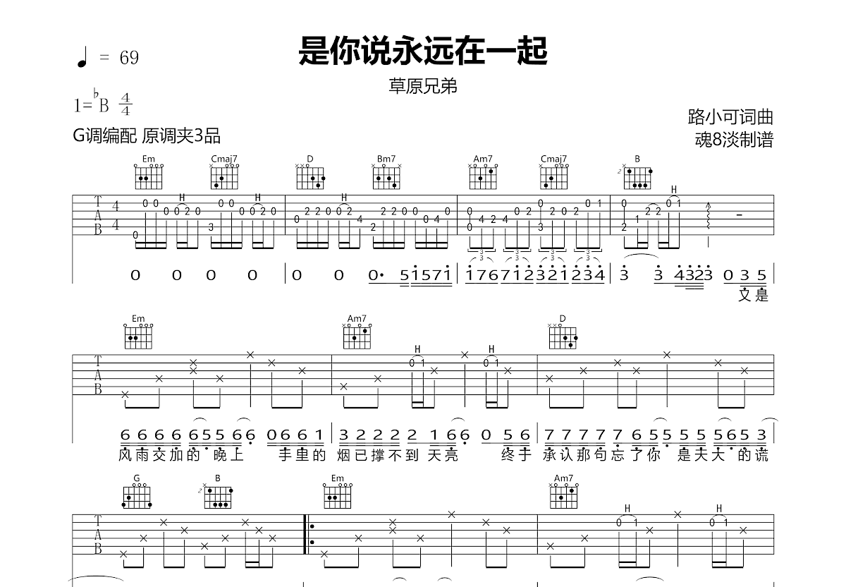 是你说永远在一起吉他谱预览图