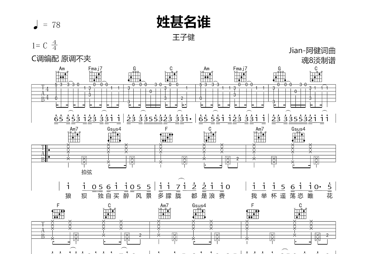 姓甚名谁吉他谱预览图