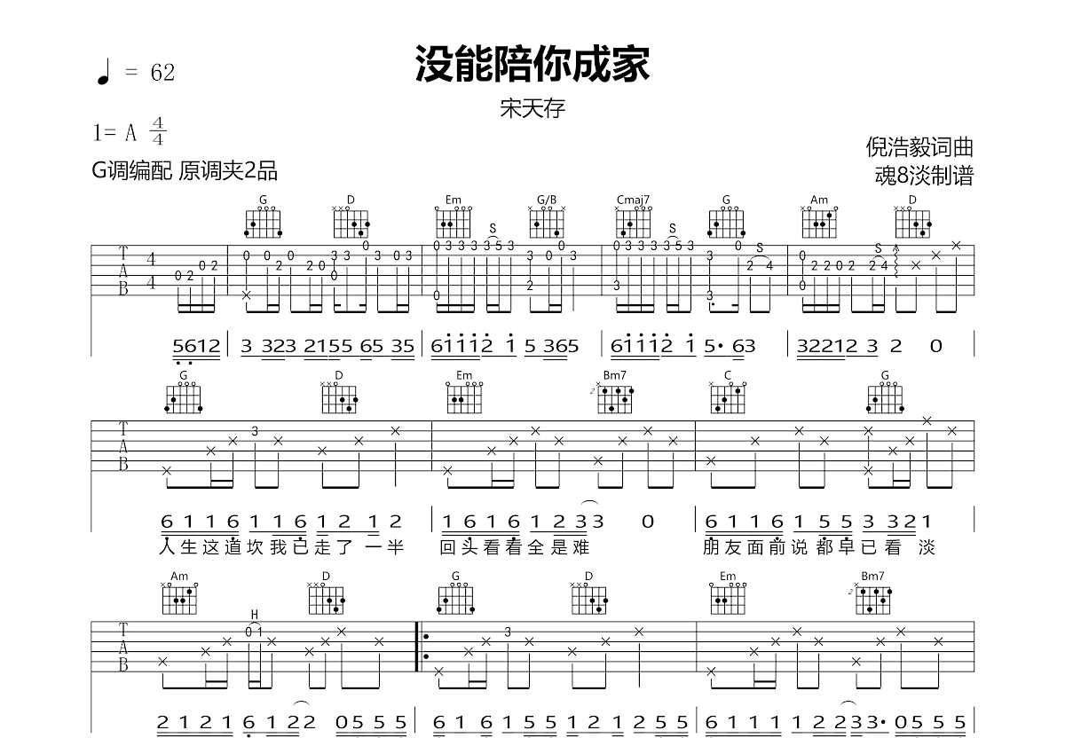 没能陪你成家吉他谱预览图