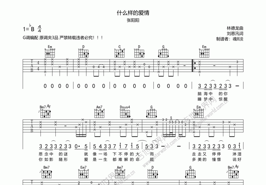 什么样的爱情吉他谱预览图