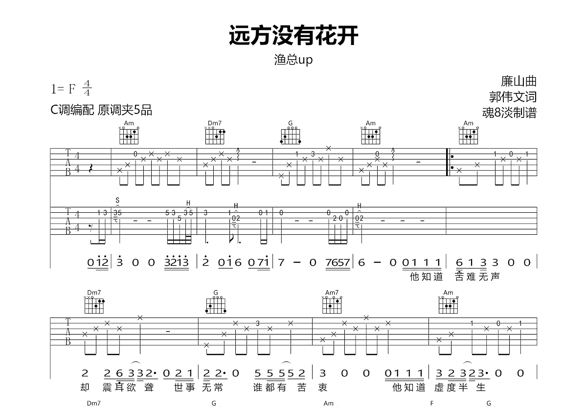 远方没有花开吉他谱预览图