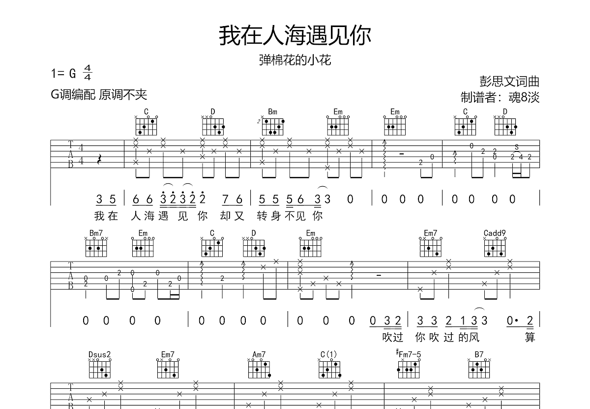 我在人海遇见你吉他谱预览图