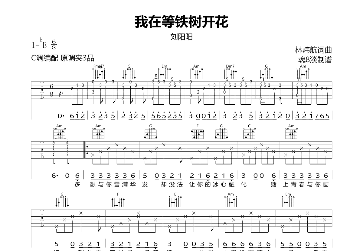 我在等铁树开花吉他谱预览图