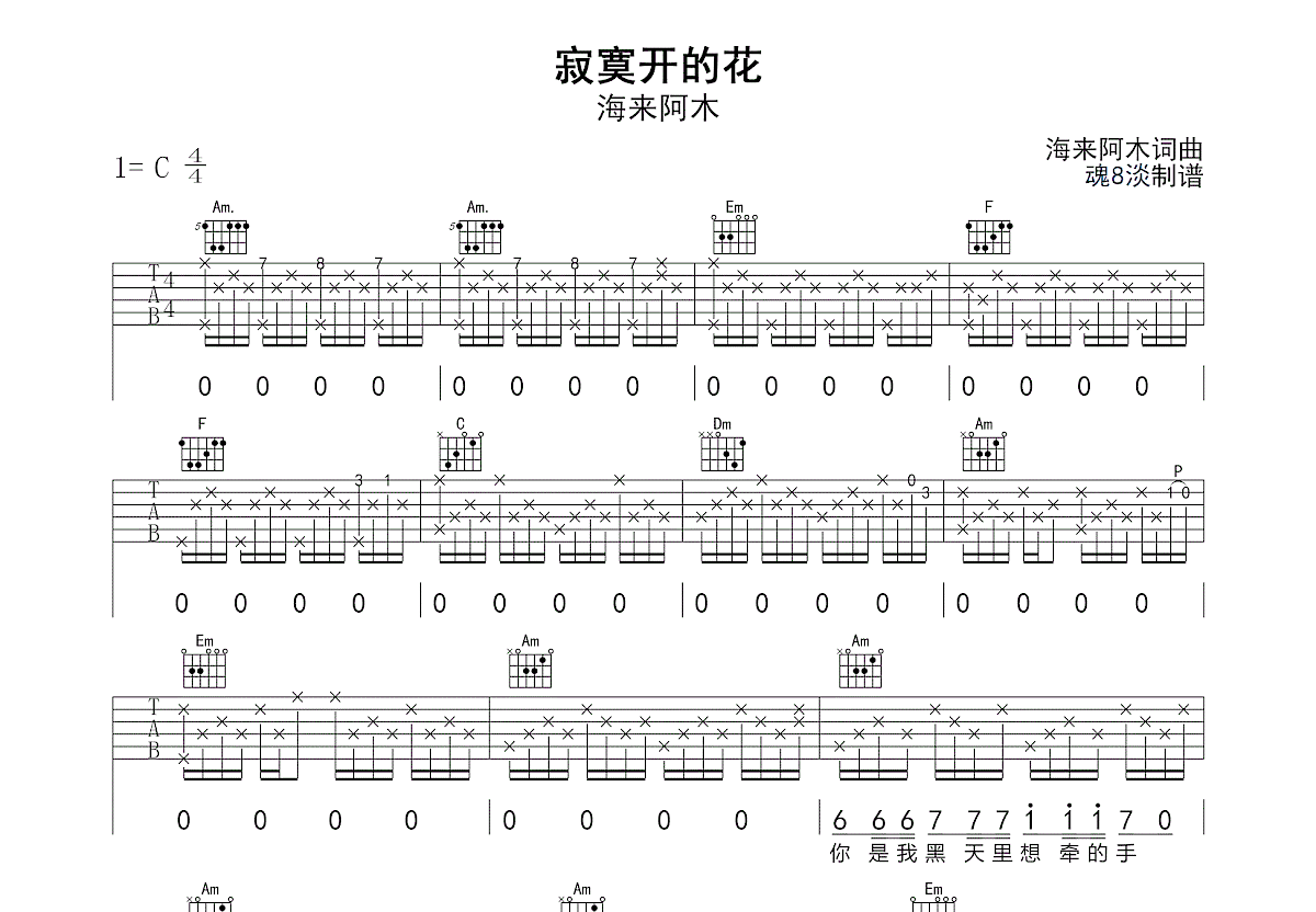 寂寞开的花吉他谱_海来阿木_C调弹唱