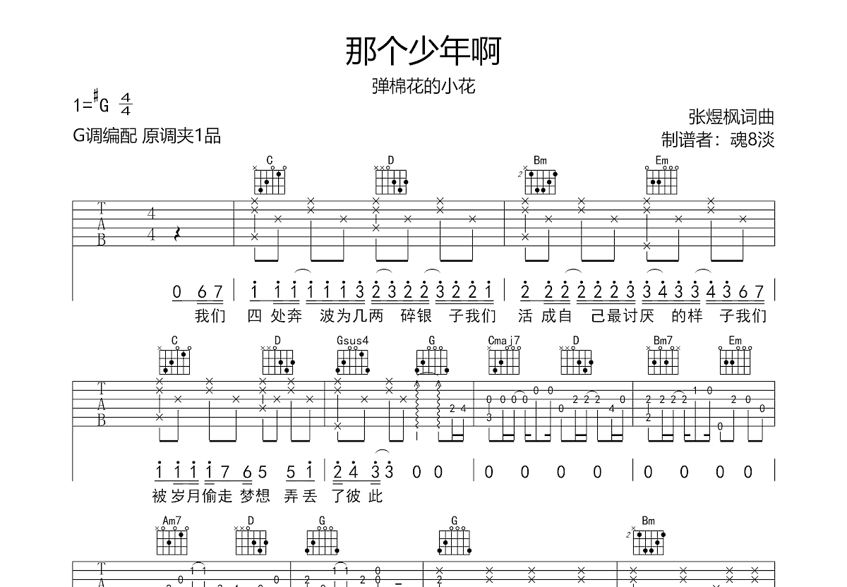 那个少年啊吉他谱预览图