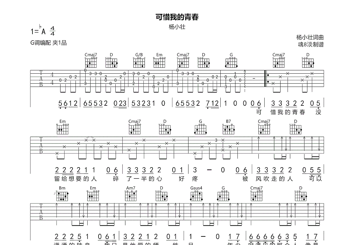 可惜我的青春吉他谱_杨小壮_G调弹唱
