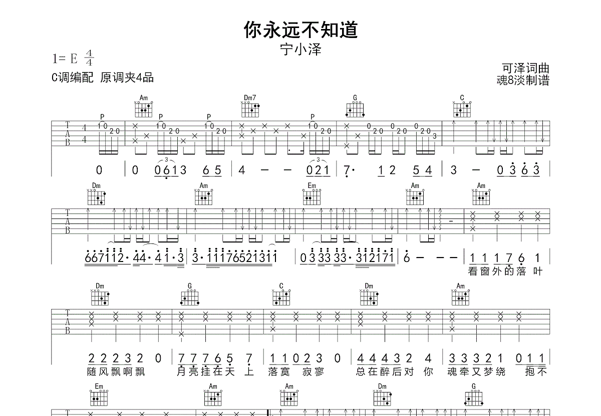 你永远不知道吉他谱_宁小泽_C调弹唱