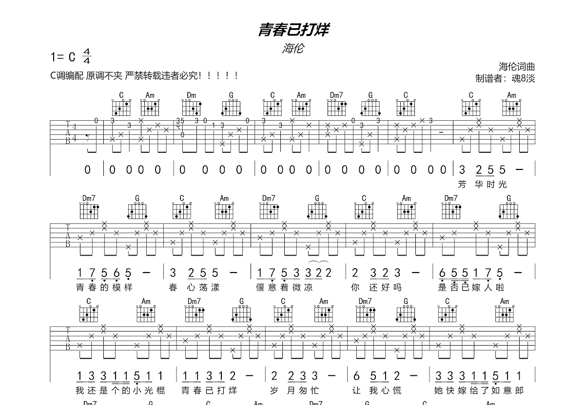 青春已打烊吉他谱预览图