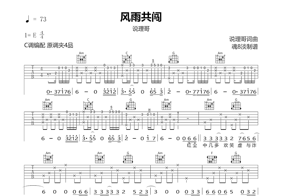 风雨共闯吉他谱预览图