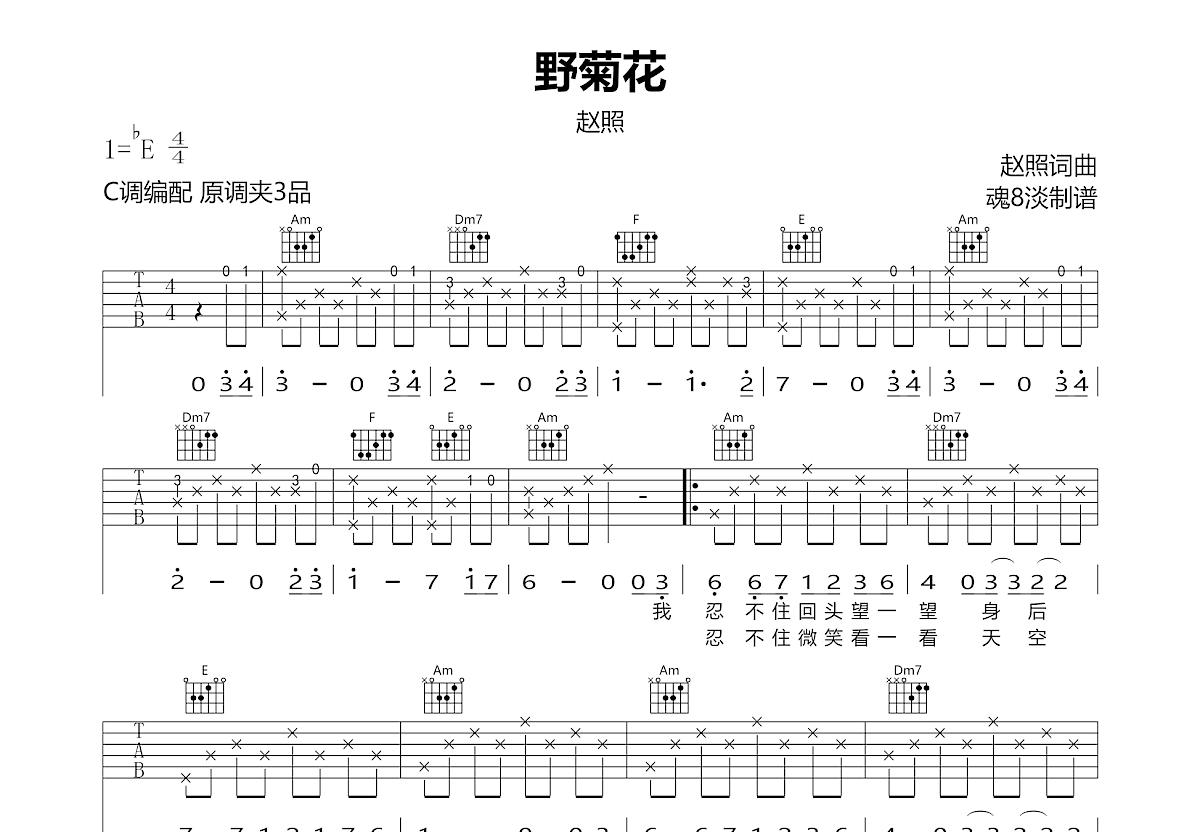 野菊花吉他谱预览图