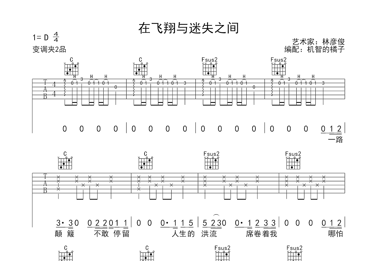 在飞翔与迷失之间吉他谱预览图