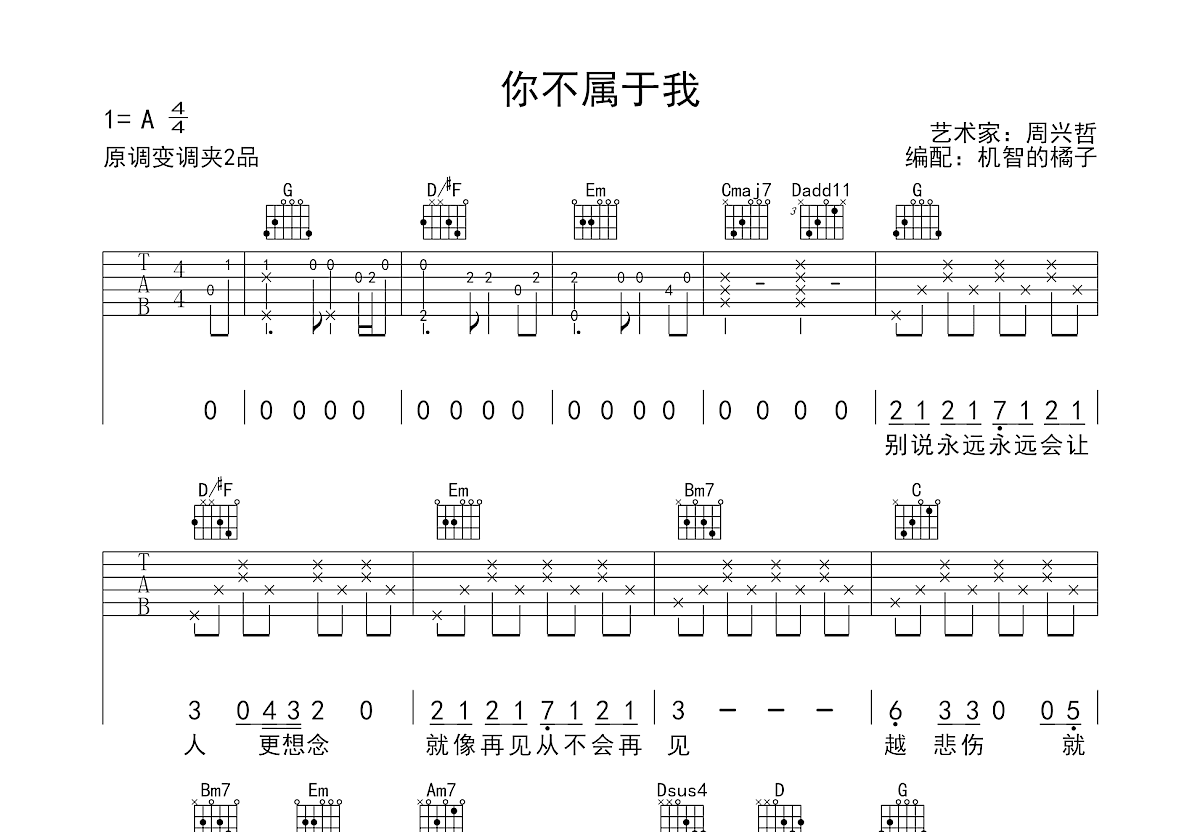 你不属于我吉他谱预览图