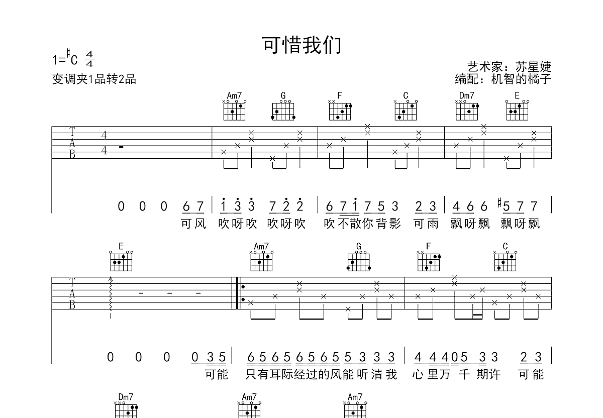 可惜我们吉他谱预览图