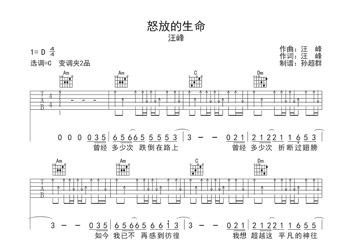 怒放的生命吉他谱预览图