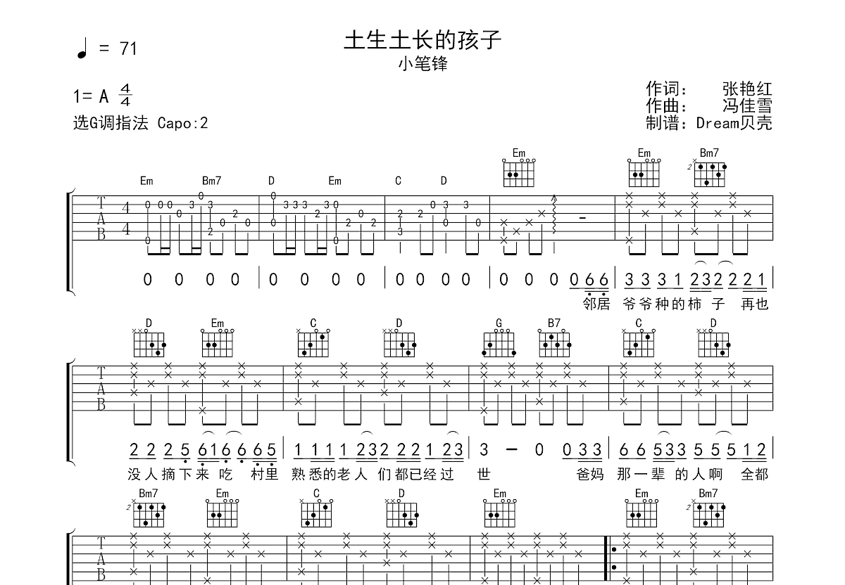 土生土长的孩子吉他谱预览图