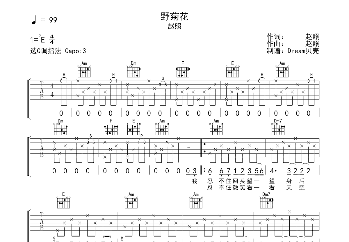 野菊花吉他谱预览图