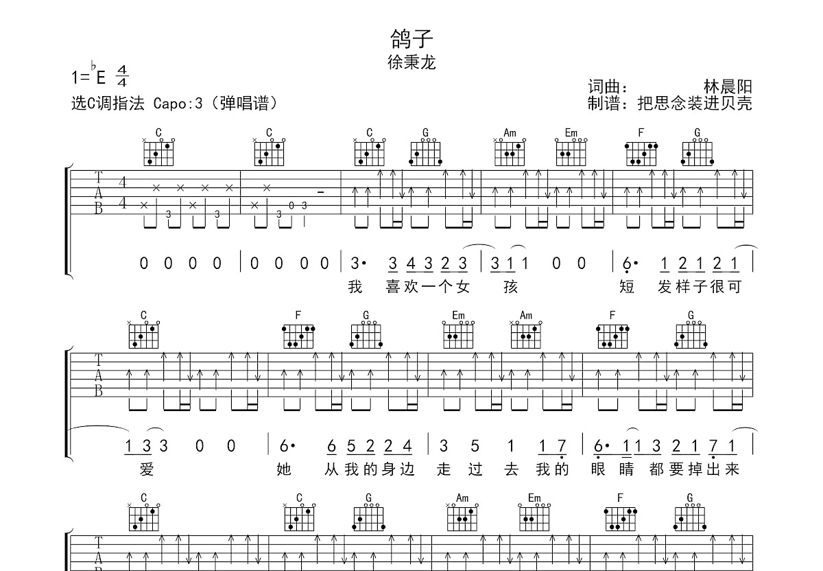 鸽子吉他谱预览图