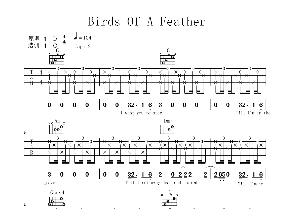 BIRDS OF A FEATHER吉他谱_Billie Eilish_C调弹唱