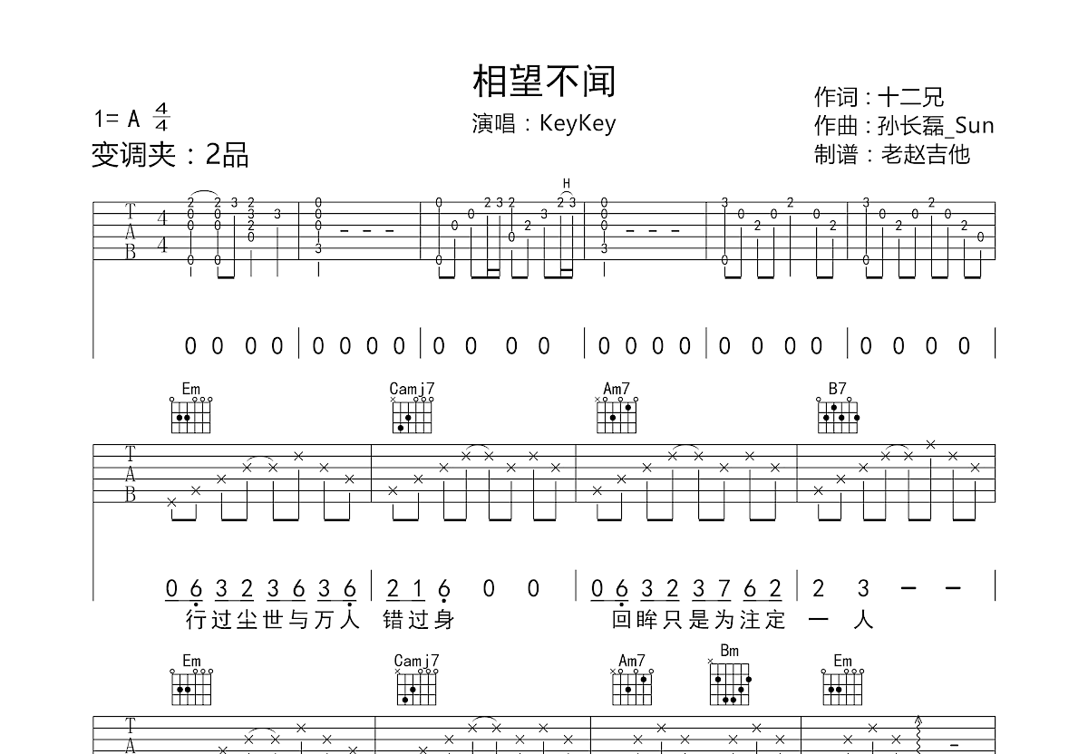 相望不闻吉他谱预览图