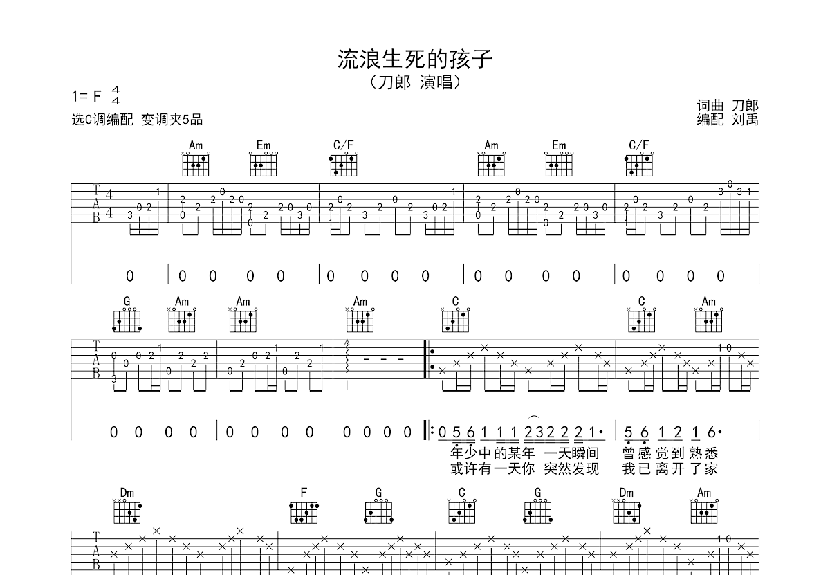流浪生死的孩子吉他谱预览图
