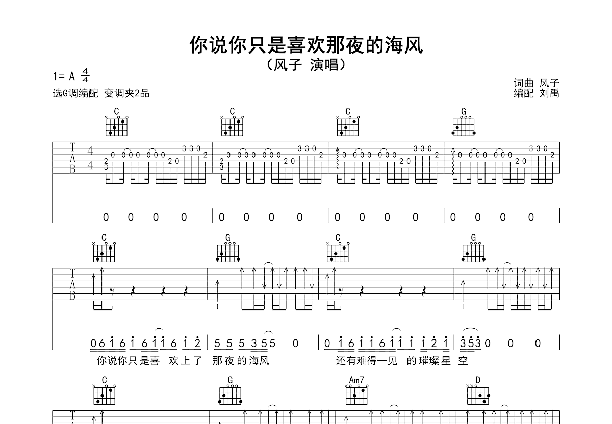 你说你只是喜欢那夜的海风吉他谱预览图