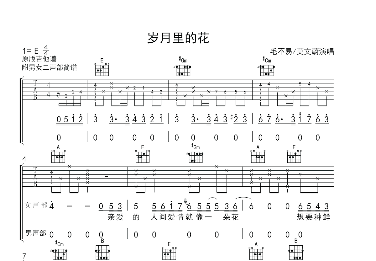 岁月里的花吉他谱预览图