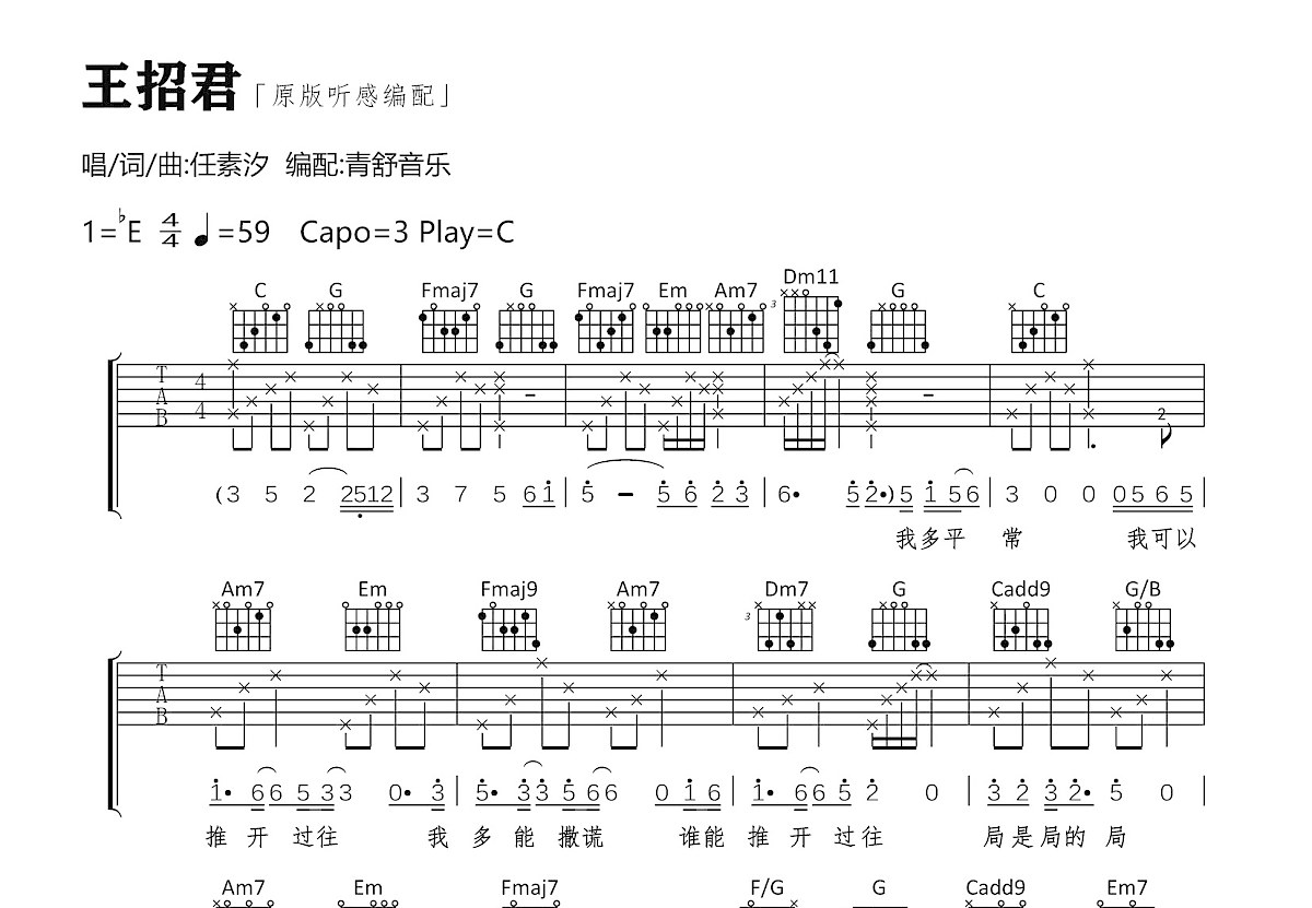 王招君吉他谱预览图