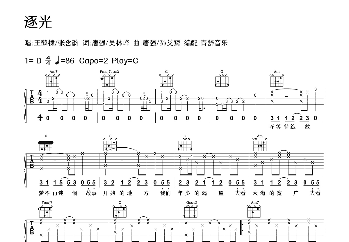 逐光吉他谱预览图