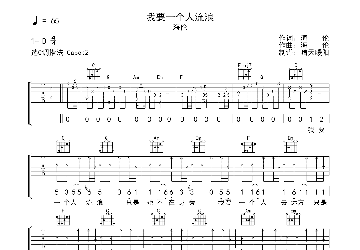 我要一个人流浪吉他谱预览图