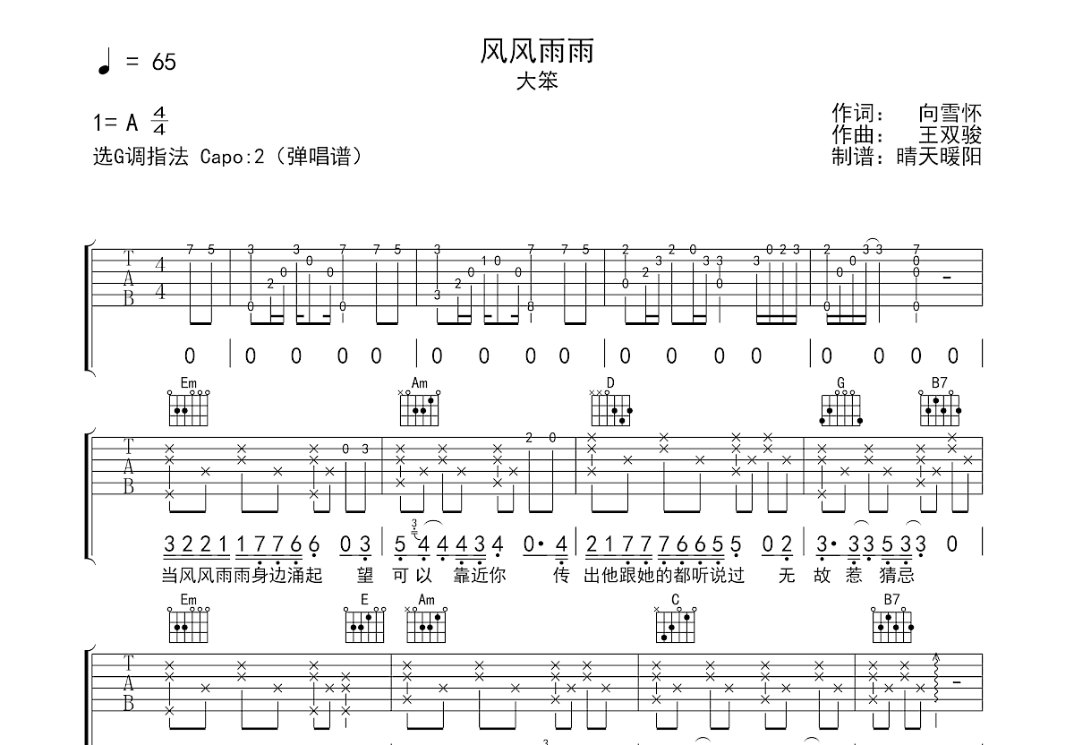 风风雨雨吉他谱预览图