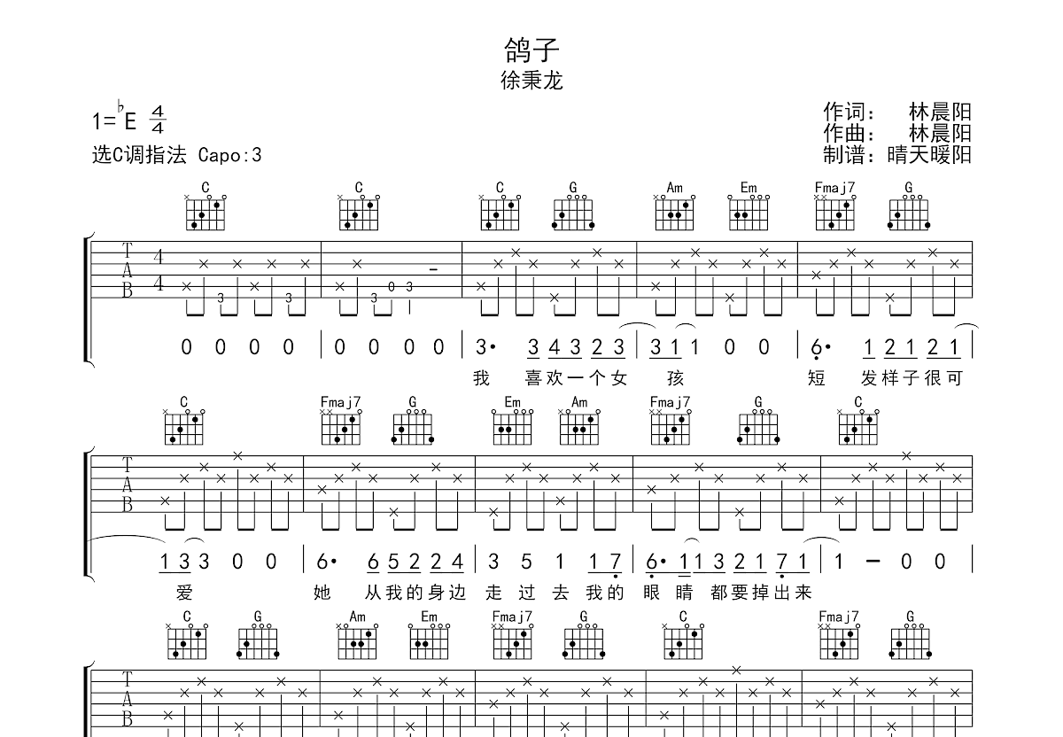 鸽子吉他谱预览图