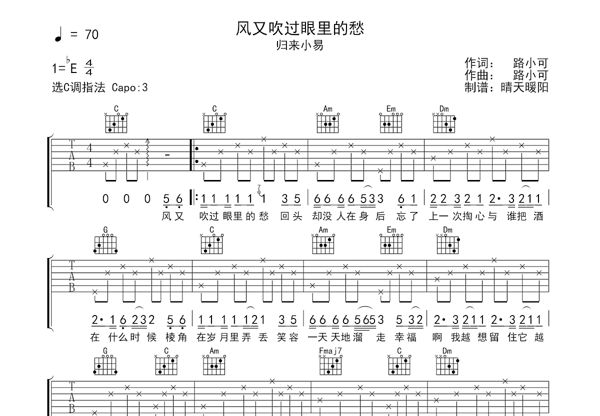 风又吹过眼里的愁吉他谱预览图