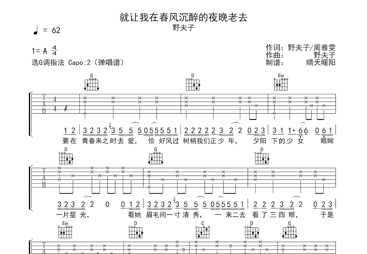 就让我在春风沉醉的夜晚老去吉他谱预览图