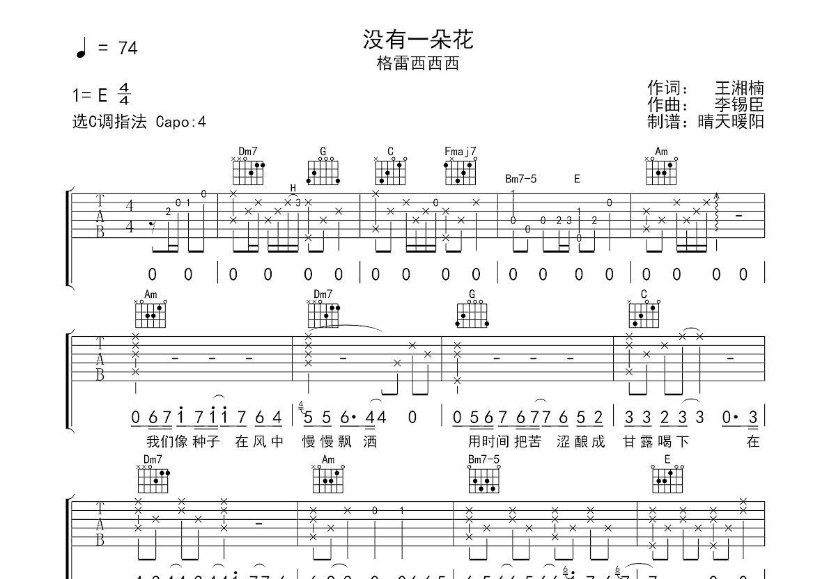 没有一朵花吉他谱预览图