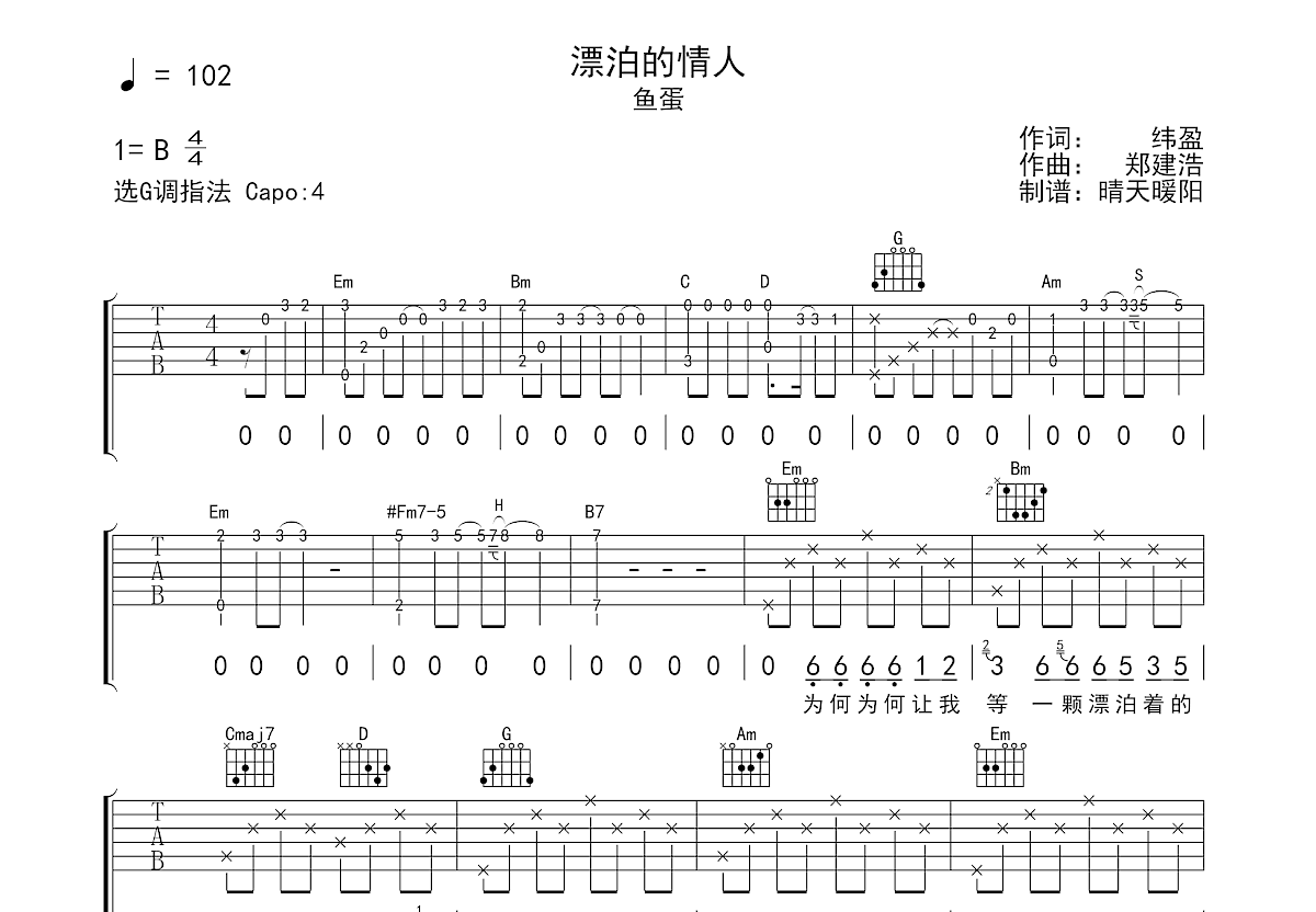 漂泊的情人吉他谱预览图