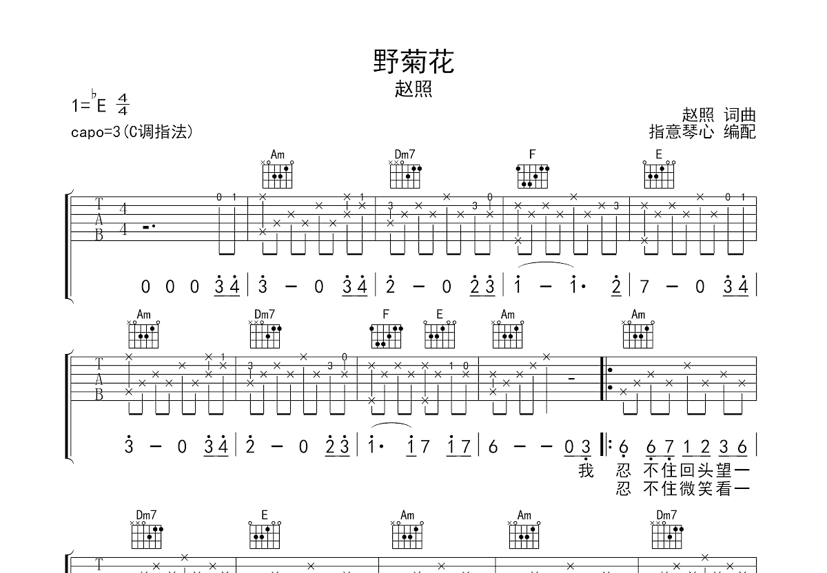 野菊花吉他谱_赵照_C调弹唱