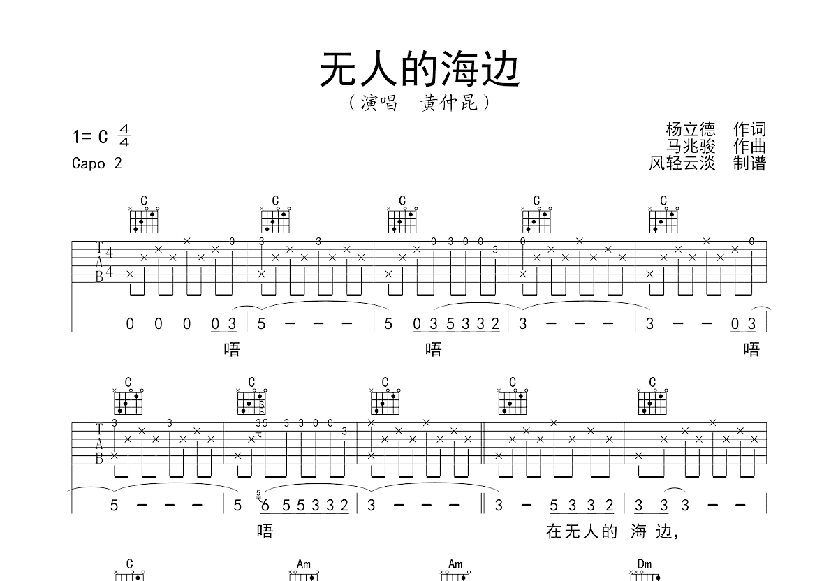 无人的海边吉他谱预览图