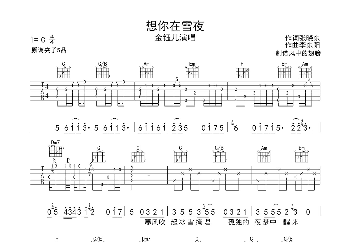 想你在雪夜吉他谱预览图