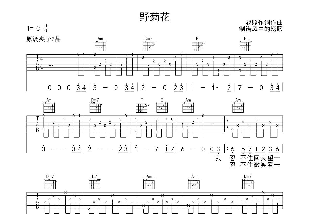 野菊花吉他谱预览图