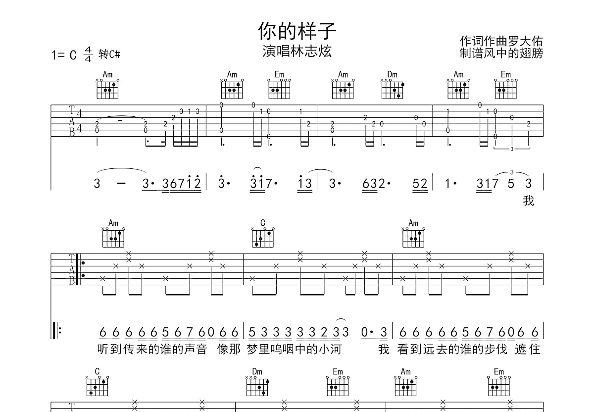 你的样子吉他谱预览图