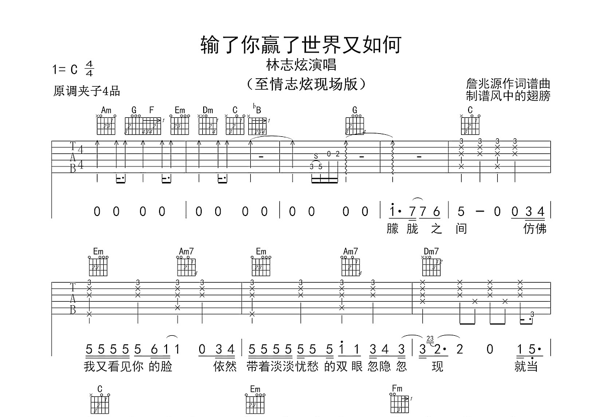 输了你赢了世界又如何吉他谱预览图