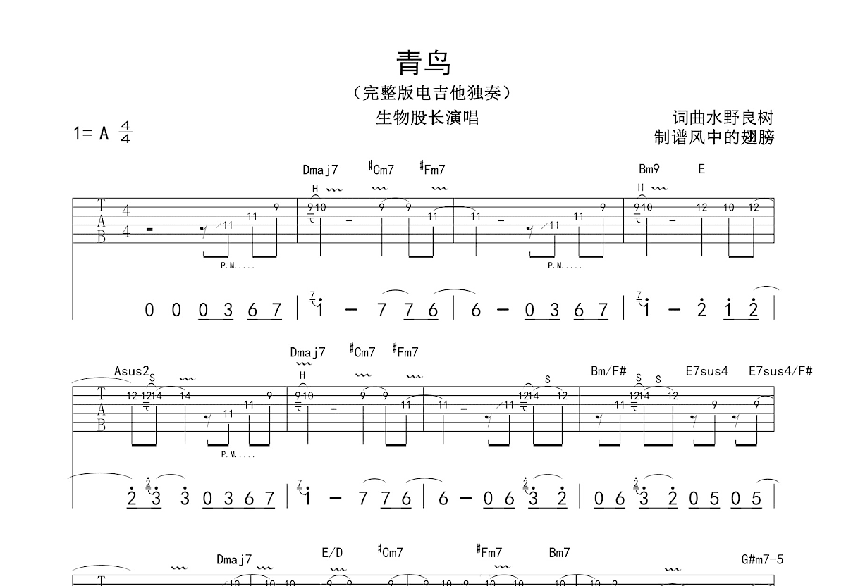 青鸟吉他谱预览图