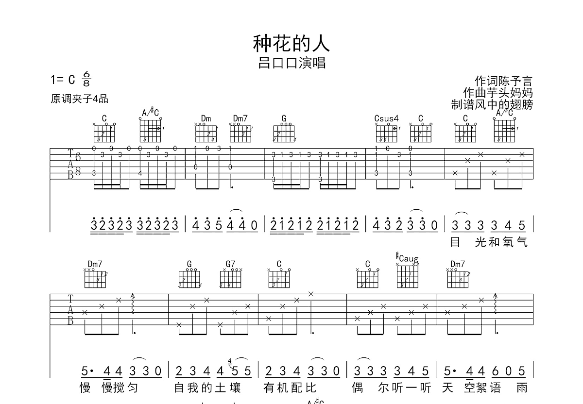 种花的人吉他谱预览图